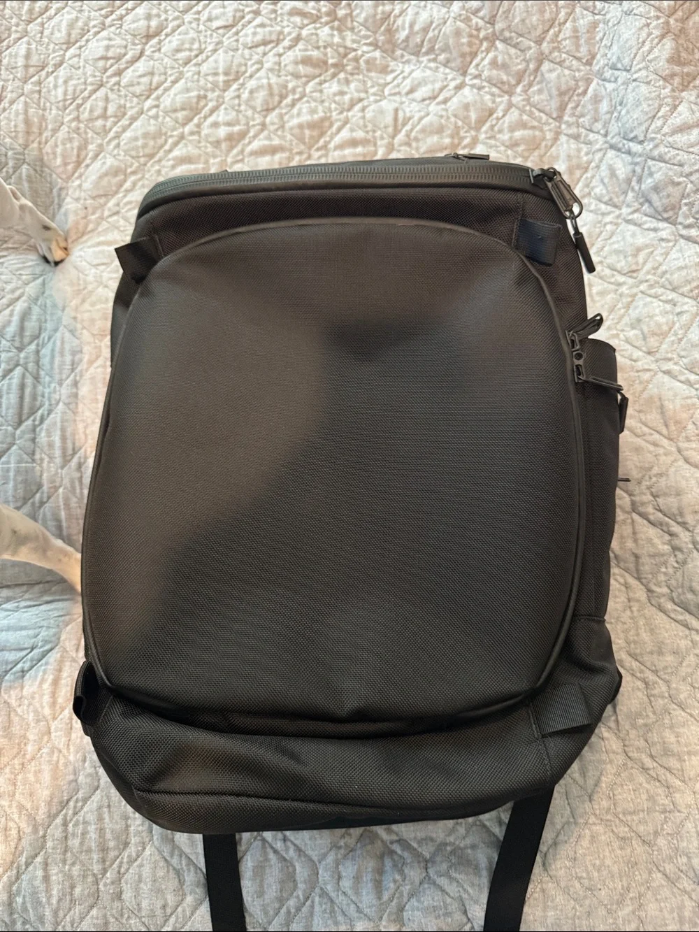 Aer travel backpack
